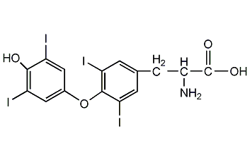 L-甲狀腺素結構式